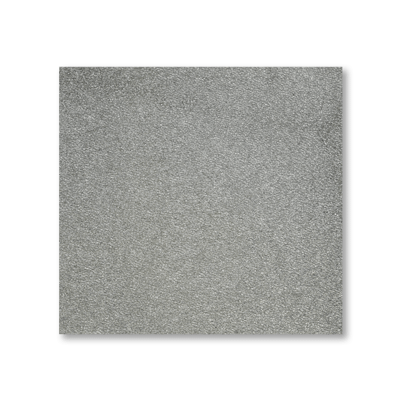 Argentum Ion Filter Spongia