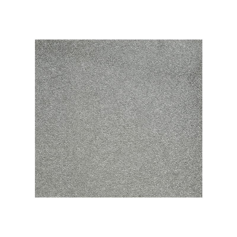 Argentum Ion Filter Spongia