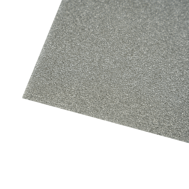 Argentum Ion Filter Spongia